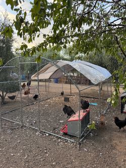 XXL chicken coop