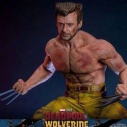 Hot Toys 🔥 Wolverine TVA Jacket 