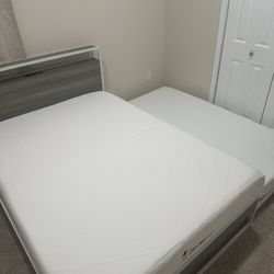 Brand New (never Used) Full Size Trundle Bed