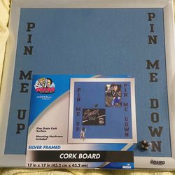 Cork Board - Silver Framed (17” X 17”)