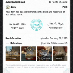 Balenciaga track runners