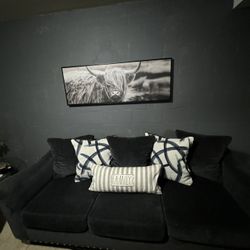 Couches Set