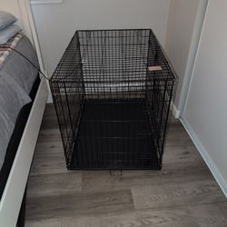 Large Dog  Crate