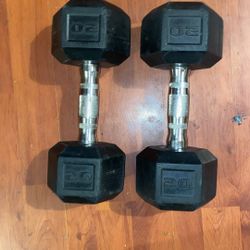 20 Lbs Dumbbells 