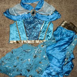 Used Jasmine Costume ( Size 9-10 Kids ) PRICE IS FIRM 