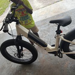 Four Runner bandit electric flat tire bike