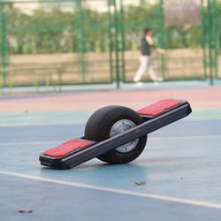 Trotter Electric One Wheel Skateboard