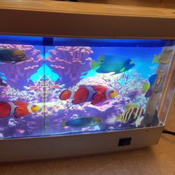 Discovery Kids Light 