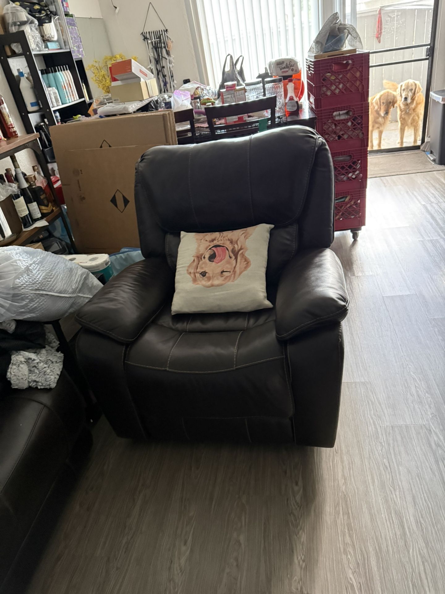 Leather Recliner