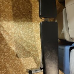 Workout Bench With Ez Bar And Weights