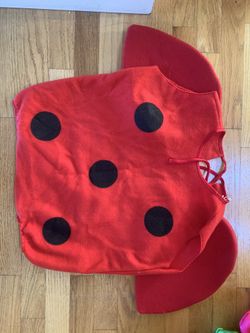 Ladybug Halloween costume 3-4T worn once