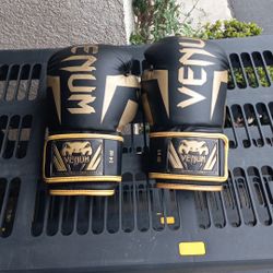Venum Boxing Gloves 14 Oz