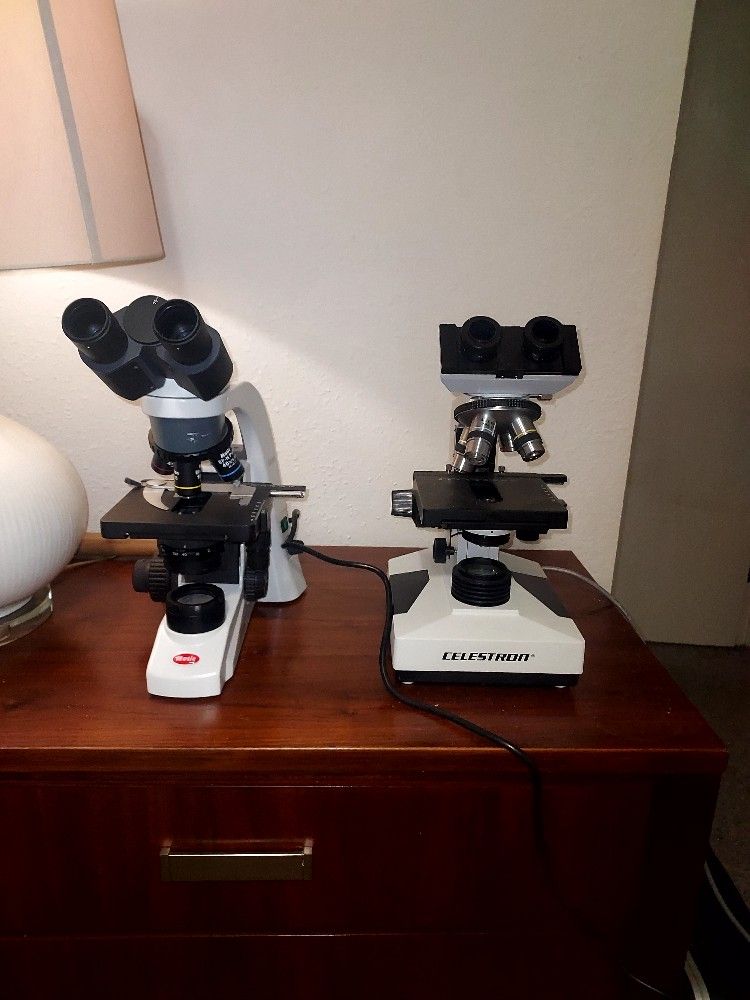 Motic Microscopes