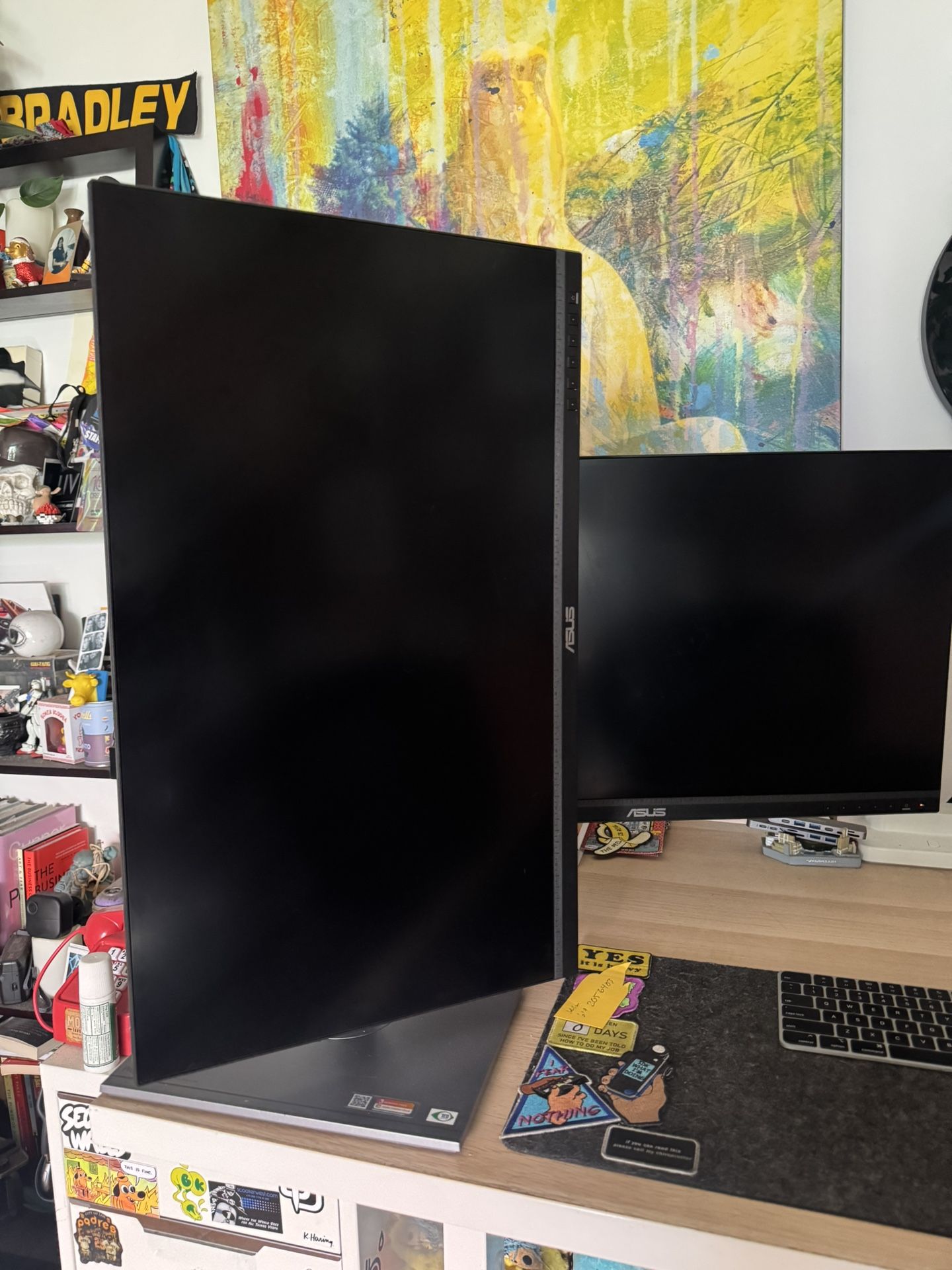 ASUS PA279CV Pair Or Single