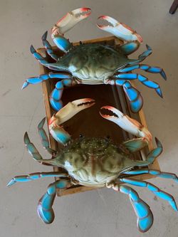 Brand New Summer Home Decor Set of 2 Crabs (indoor/outdoor)