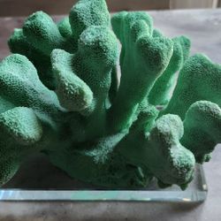 Green Coral