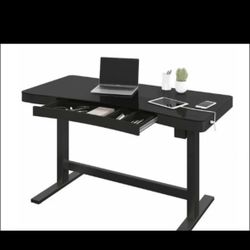 Costco Adjustable Desks (chair And Mat) 