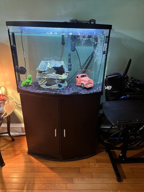 Fish Tank