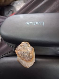 Gemstone fossil