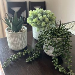 Free Fake Plants (pending)