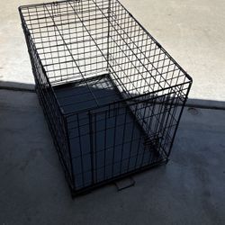 Dog crate 