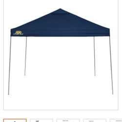 Canopy Instantánea 10x10 X100
