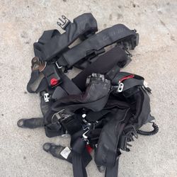 Canam Seatbelts 