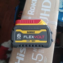 New Dewalt Battery