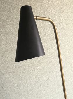 Modern Floor Lamp with Black Shade