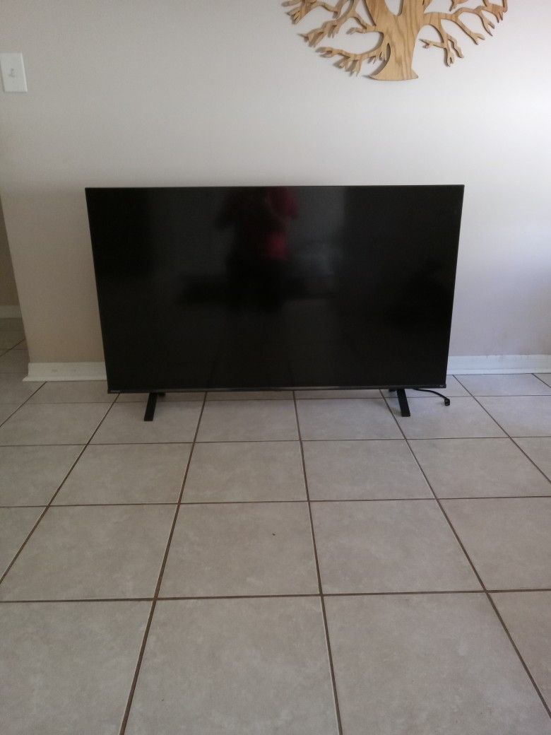 Toshiba 55" Flatscreen TV