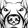 El PERRO