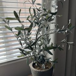 Fake Olive Tree Plant Bush