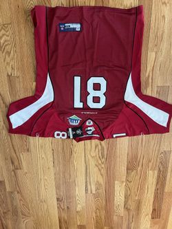 Anquan Boldin ‘08 Super Bowl Jersey
