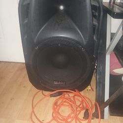 Edison Professlonal Studio Speaker Not A Bluetooth