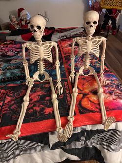 Two 3ft flexible skeletons 7$ each