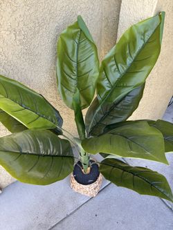 Artificial plant