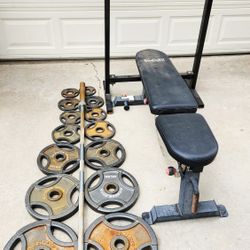 Weights Bench Weight Gym Barbell Rack