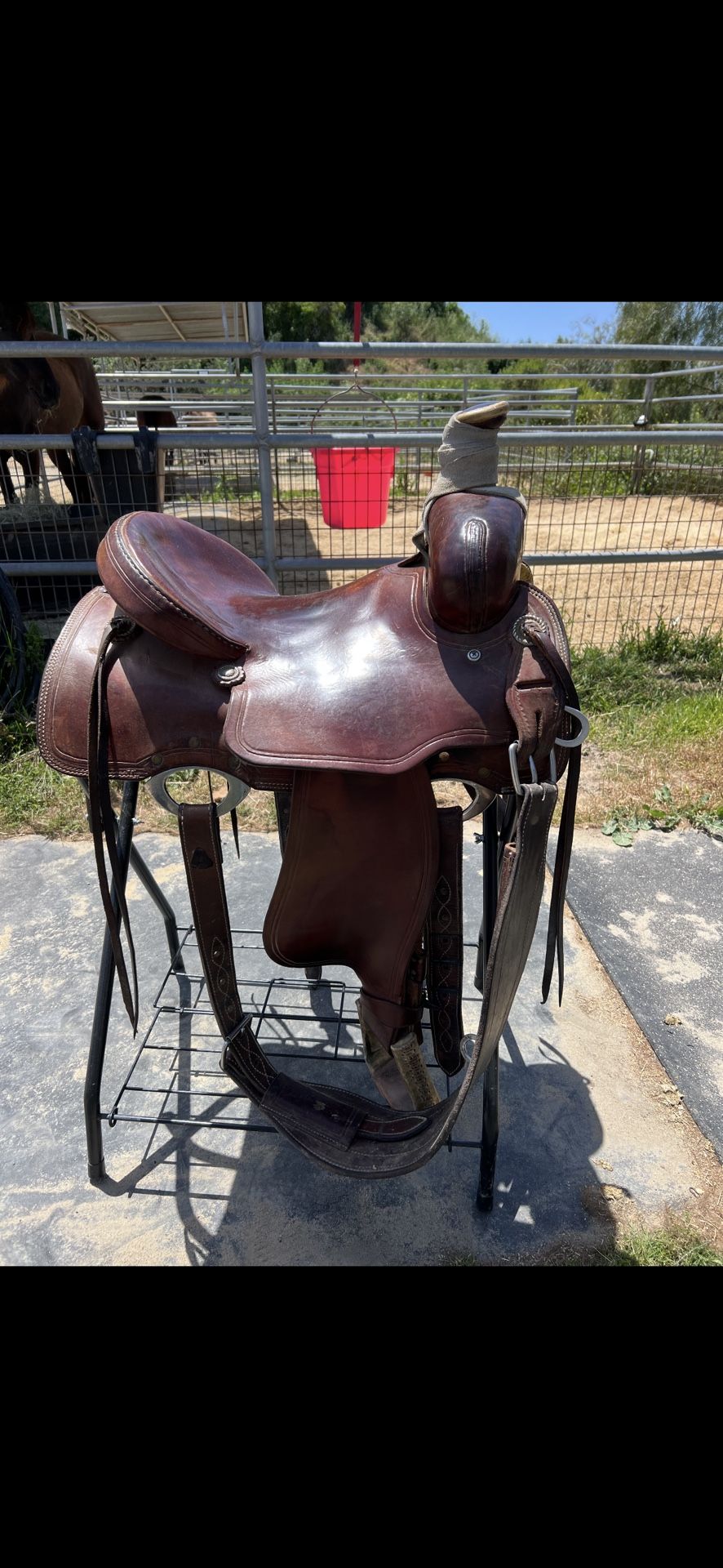 Selling corriente roping saddle size 15 seat, 7inch gullet. Pm! $550 
