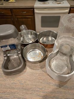 Pet bowls/feeding water