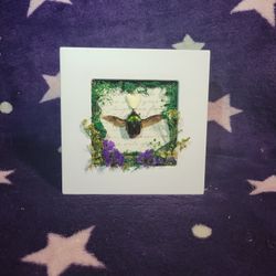 iridescent June bug oddities frame 
