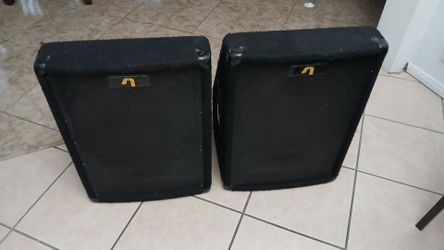 12" Legion Sound speakers