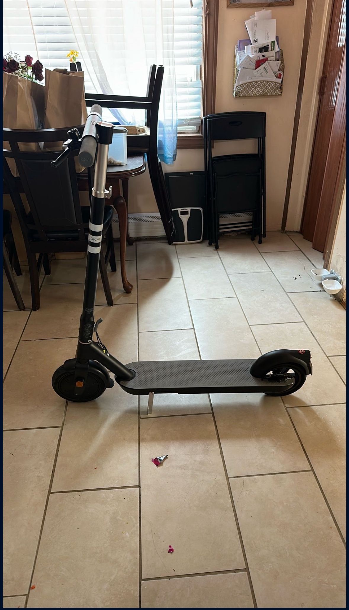 electric scooter
