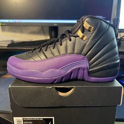 Jordan 12 Field Purple 5Y