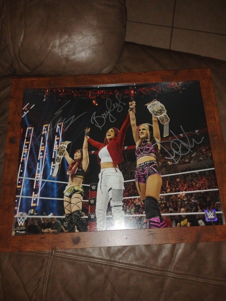 Wwe Damage Control Autograph And Frame Authentic Coa