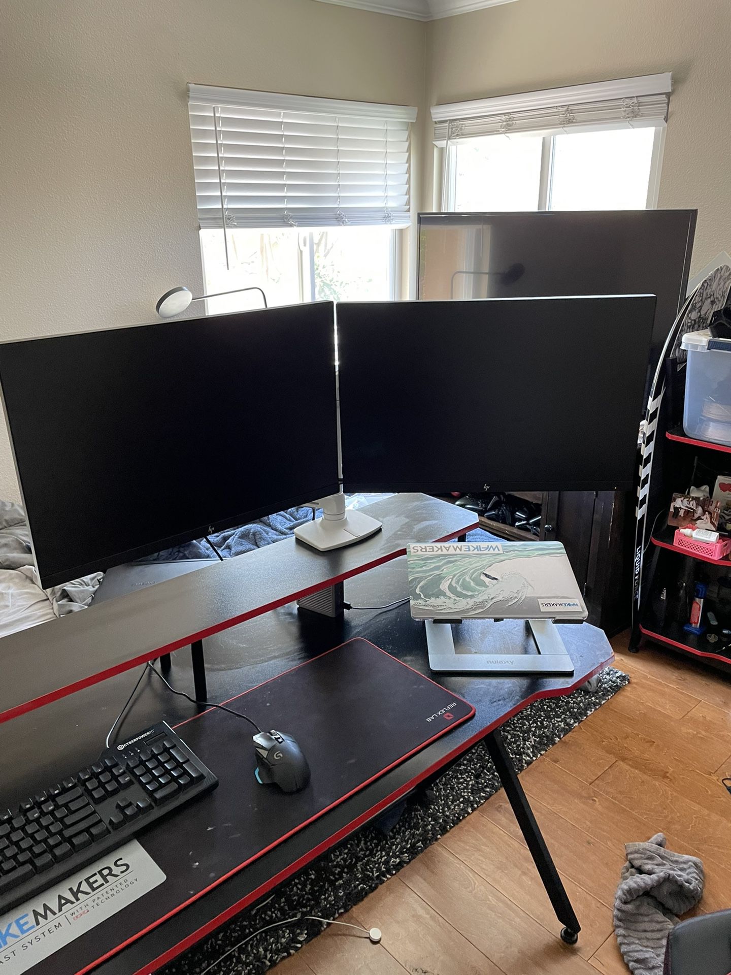 Computer Monitors + Dual Monitor Stand 