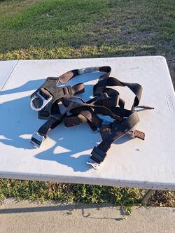 Safety Harness