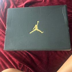 Air Jordan 12s