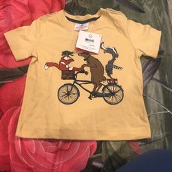 Hanna Anderson Boy T- Shirt 