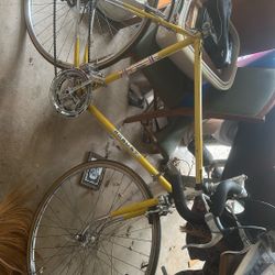 Vintage Saint Etienne Bike 