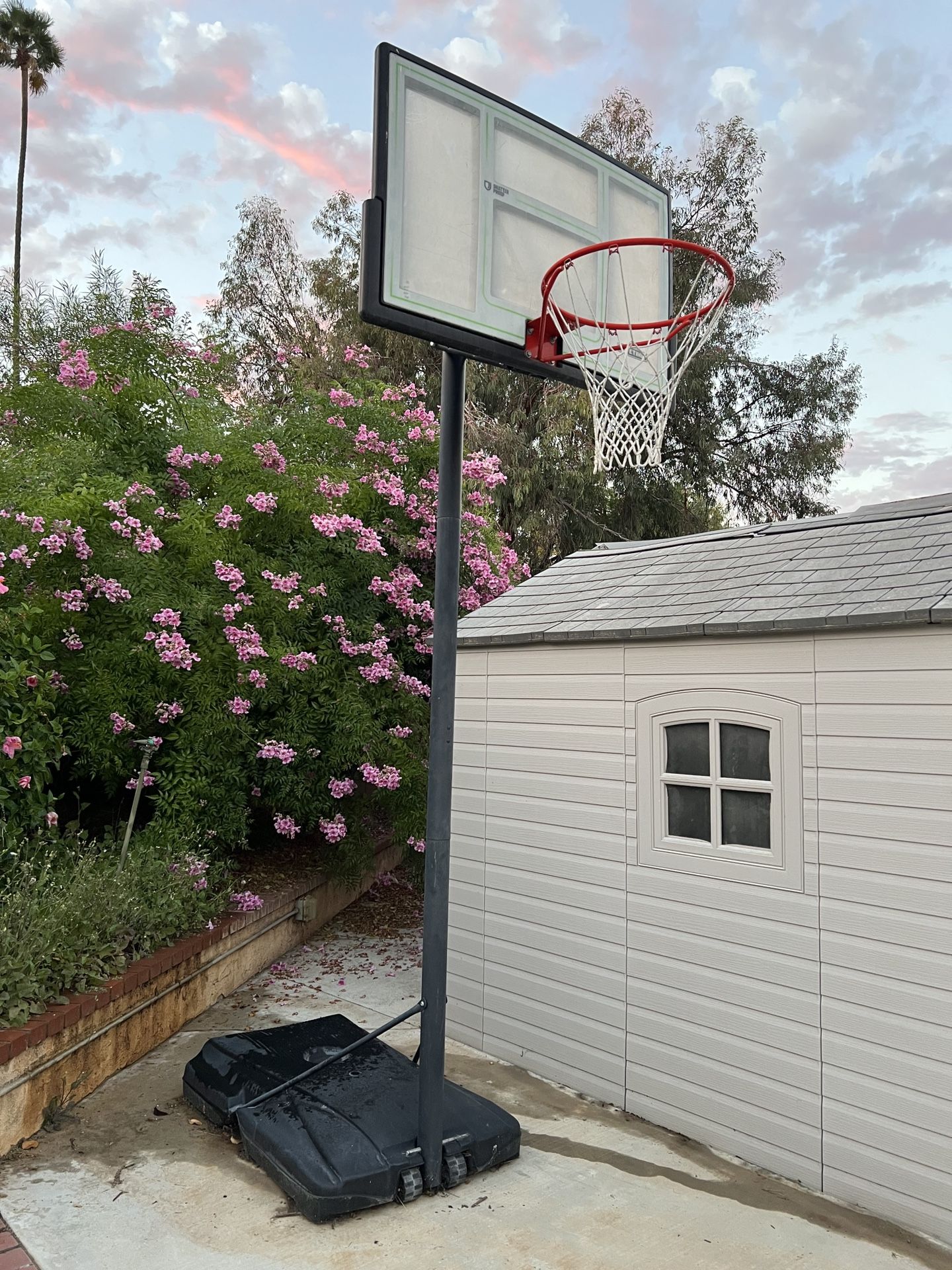 54” Lifetime Adjustable Portable Basketball Hoop